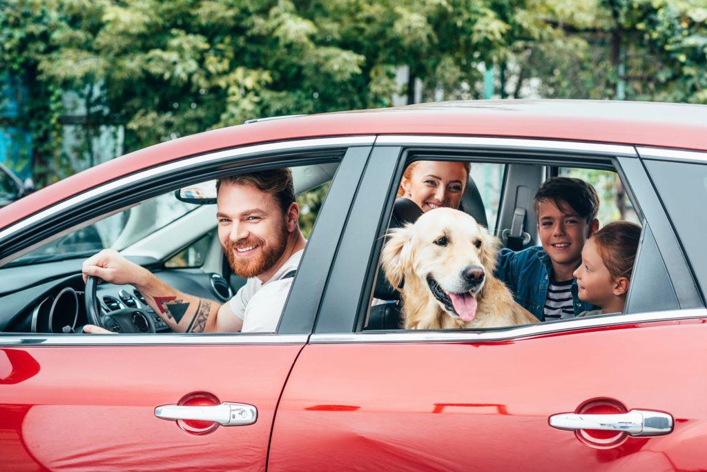 Polizza auto per auto di famiglia, Consulenze Assicurative
